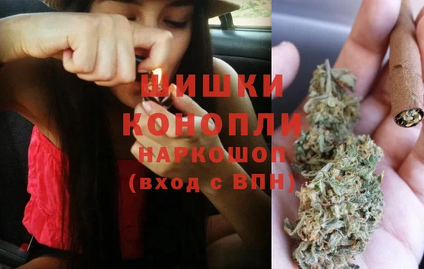 сатива Баксан