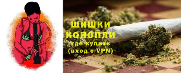 сатива Баксан